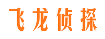 湘西市私家侦探公司